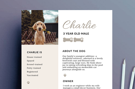 Pet Rental Application Resume