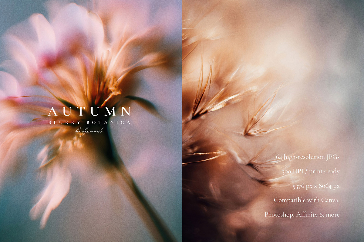 Autumn Blurry Floral Backgrounds, a Background Graphic by Altea Design Studio (Photo 7 of 15)