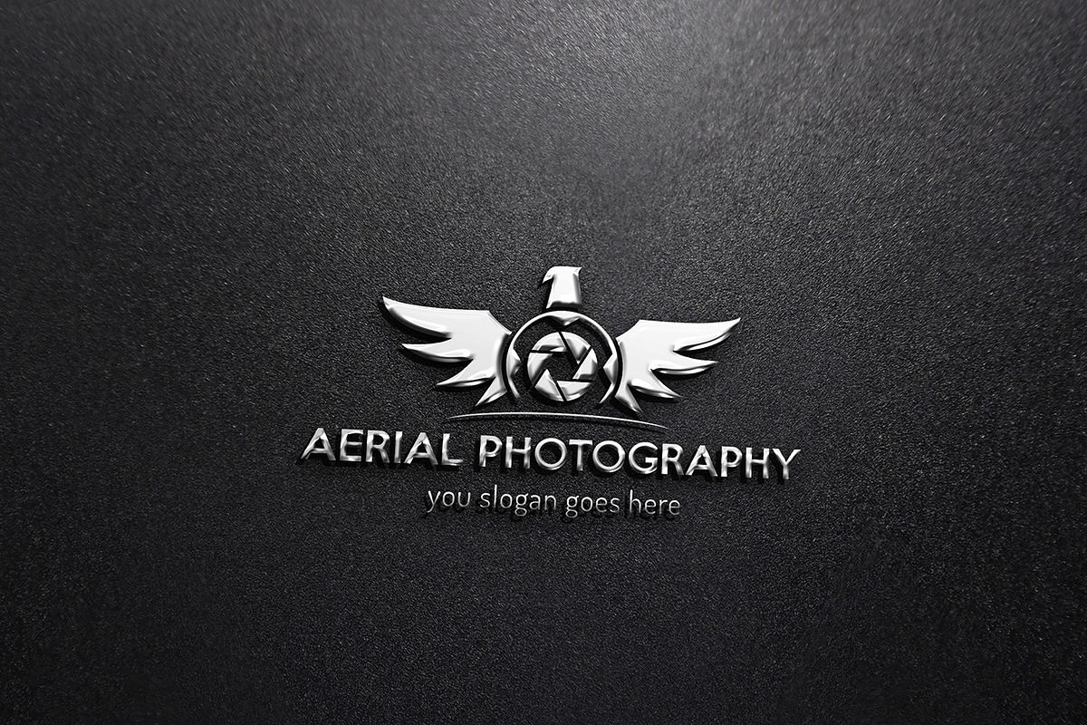 Aerial Photography Logo, a Branding & Logo Template by GladicMonster (Photo 3 of 8)