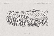 Vineyard drawings, a Decorative Illustration by TheMountBirdStudio (Thumbnail 7 of 8)
