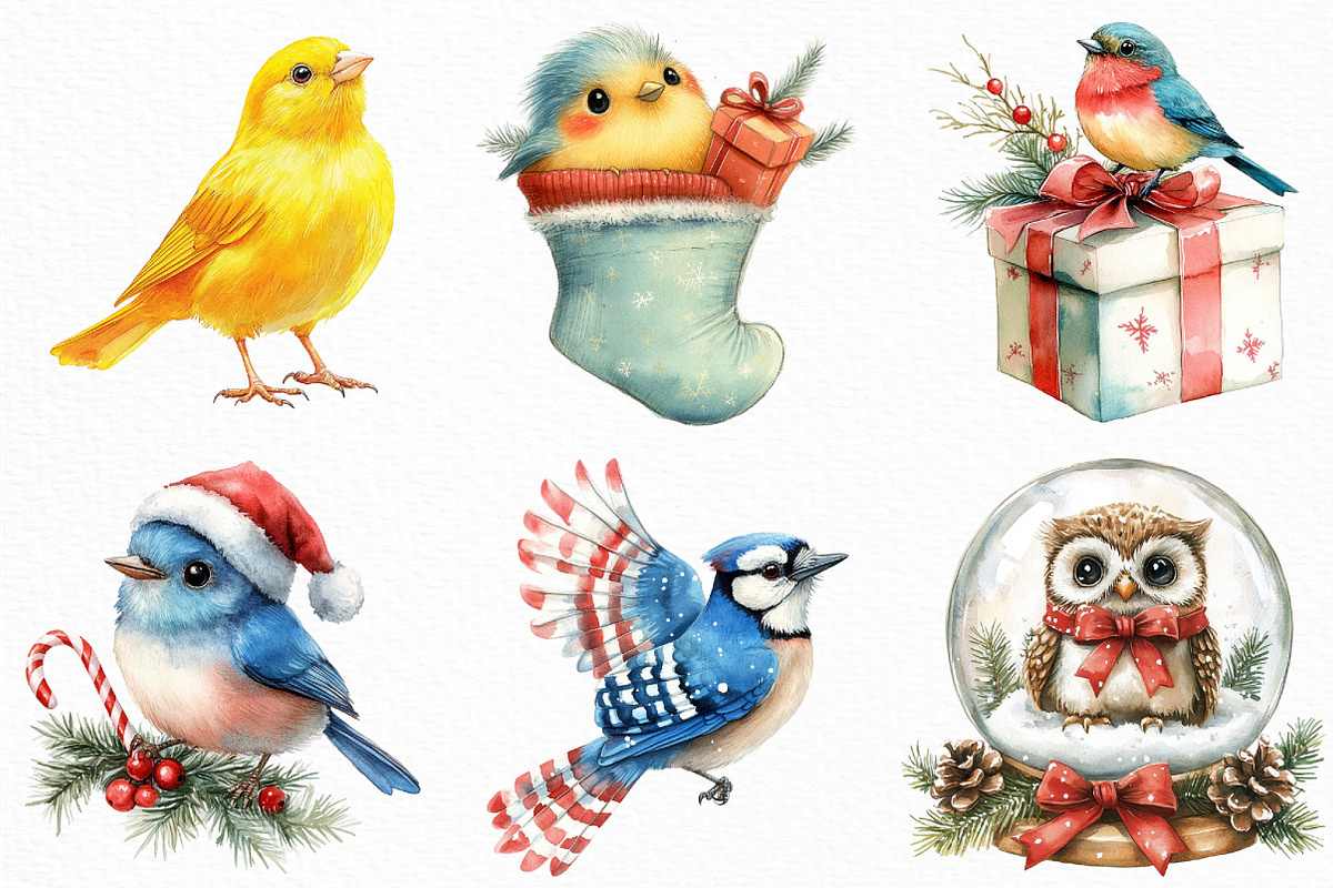 Watercolor Christmas Birds Clipart, an Illustration by Craft Nest (Photo 3 of 6)