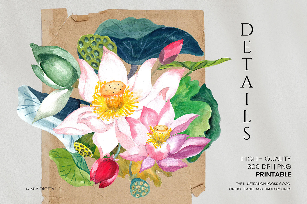 Lotus Flower, Water Lily Elements, an Illustration by Mia Digital (Photo 2 of 5)