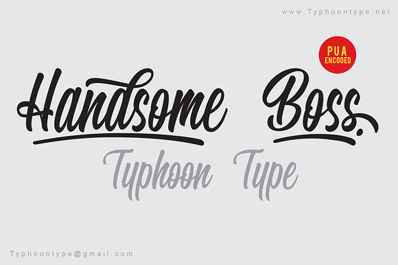 Handsome Boss font preview 3