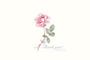 Bows and Roses. Coquette Watercolor., a Decorative Illustration by Ooh Lily (Thumbnail 15 of 15)