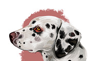 Most Popular Dog Breeds Pet Portrait, an Animal Illustration by Dneprstock (Thumbnail 8 of 23)