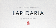 Lapidaria, a Sans Serif Font by Andreas Stötzner (Thumbnail 1 of 7)