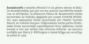 Leto Two, a Serif Font by Glen Jan (Thumbnail 6 of 10)