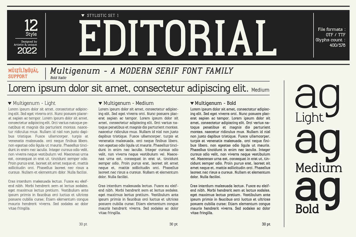 Multigenum - Serif font family, a Serif Font by Artistic & Unique (Photo 8 of 15)