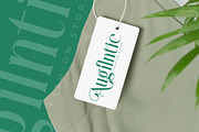 Bastible Modern Serif Font, a Serif Font by Letterena Studios (Thumbnail 4 of 15)