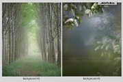 Spring Portrait Backgrounds, a Wallpaper Graphic by MixPixBox (Thumbnail 5 of 10)