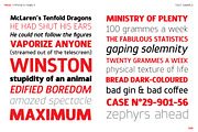 Prox, a Sans Serif Font by Typogama (Thumbnail 8 of 15)