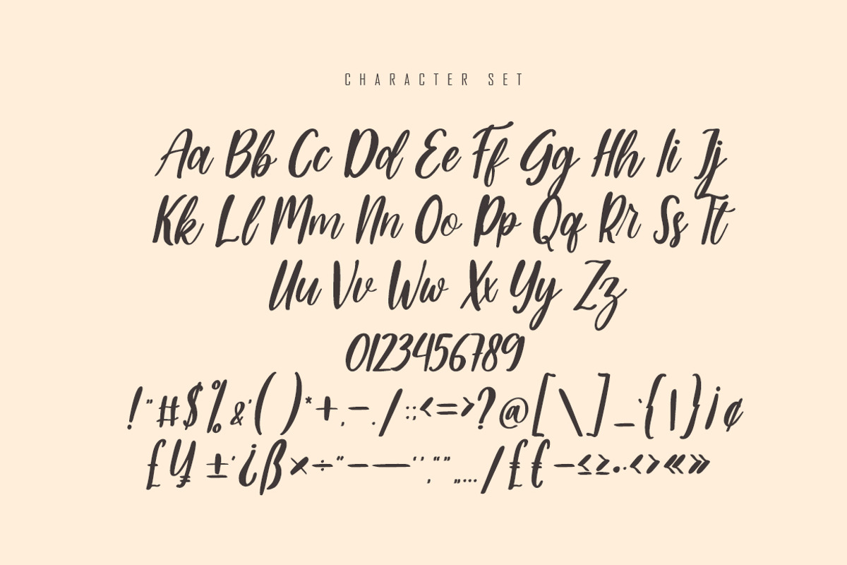 Strike - Modern Script Font, a Script Font by skiiller studio (Photo 6 of 9)
