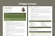 Professional Resume Template, a Resume Template by Anjum Ilyas (Thumbnail 3 of 6)