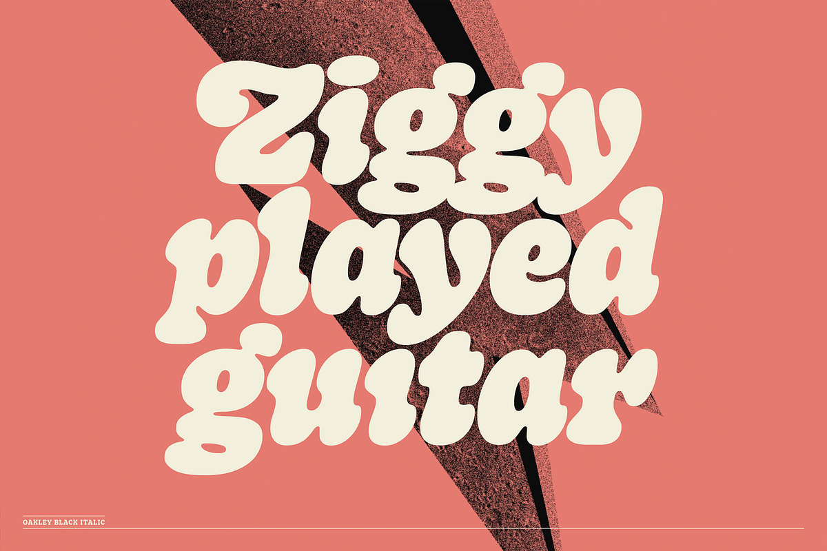 Oakley Typeface, a Serif Font by Mark van Leeuwen (Photo 3 of 10)