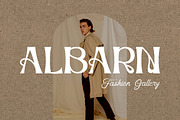 Werd - Modern Stylish Serif Font, a Serif Font by PutraCetol Studio (Thumbnail 13 of 13)