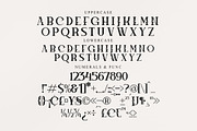 Megphis Modern Serif Font, a Serif Font by Storytype Studio (Thumbnail 13 of 15)