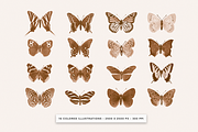 Vintage Butterflies Illustrations, an Animal Illustration by MargauxQuercy (Thumbnail 2 of 7)