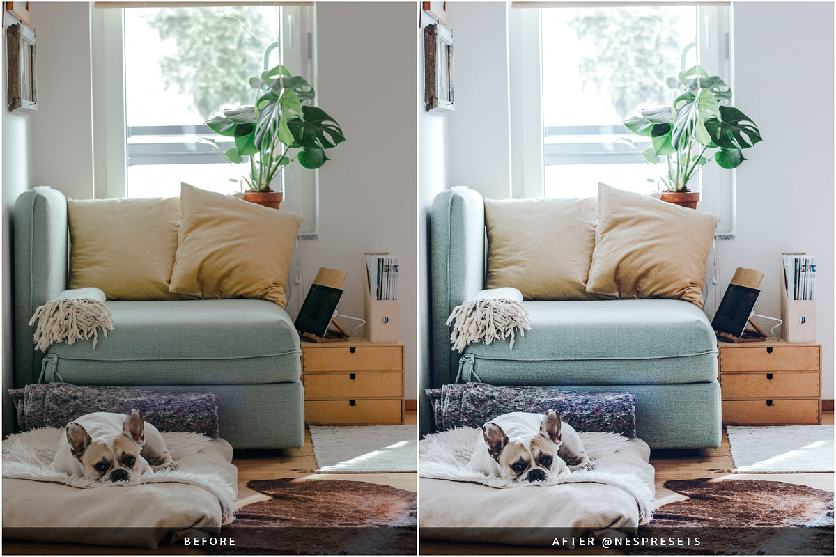 SCANDINAVIAN LIGHTROOM PRESETS, an Action Add-On by Nes Design Co (Photo 4 of 12)