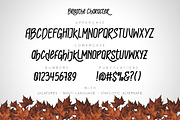 Breathe Typeface, a Font by WCKY.STD (Thumbnail 5 of 5)