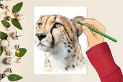 Watercolor Safari Animals Clipart, an Illustration by DreamCafeArt (Thumbnail 6 of 6)