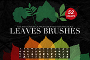 Leaves Photoshop Stamp Brushes, a Brush Add-On by ArtistMef (Thumbnail 1 of 7)