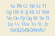 Callbro - Elegant Serif Font, a Serif Font by Marvadesign (Thumbnail 3 of 11)