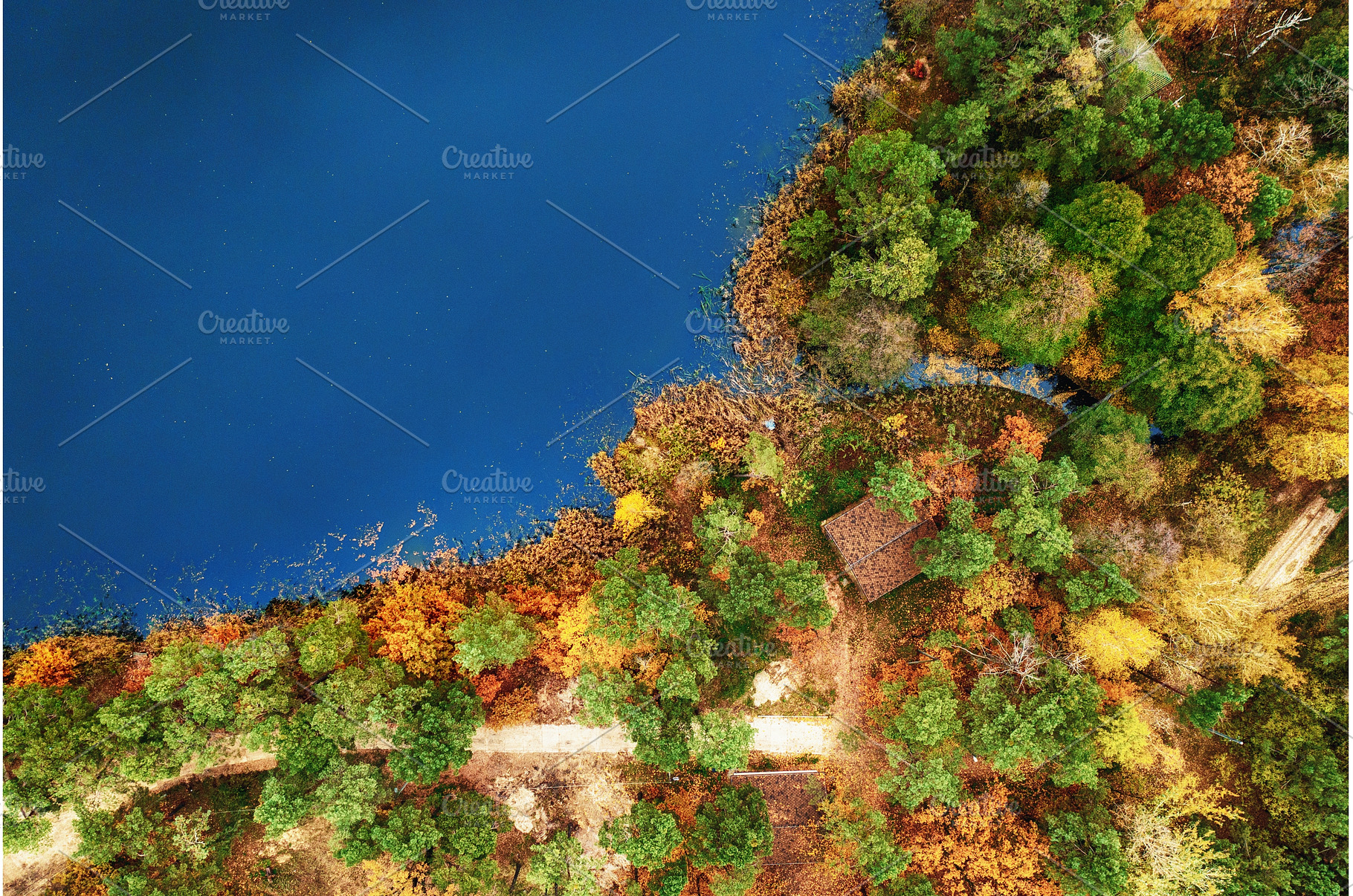 Aerial view of river, a Nature Photo by Nature and travel