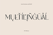 NT VANILLA, a Serif Font by nevsky.type (Thumbnail 11 of 11)