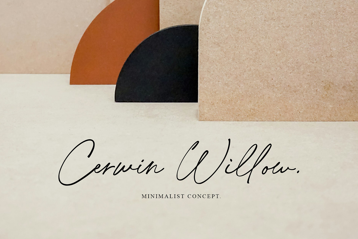De Lionist - Handwritten Script Font, a Handwritten Font by Myn Type (Photo 12 of 15)