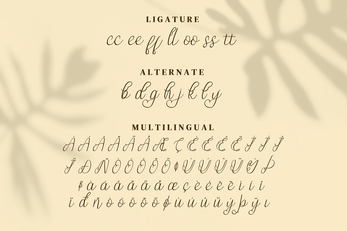 Jump Wings Script Fonts, a Script Font by mahstudios (Photo 13 of 15)