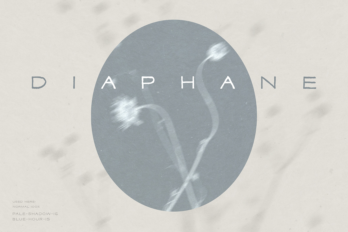 Diaphane - Blurry Floral Backgrounds, a Background Graphic by alonahaidash (Photo 3 of 16)