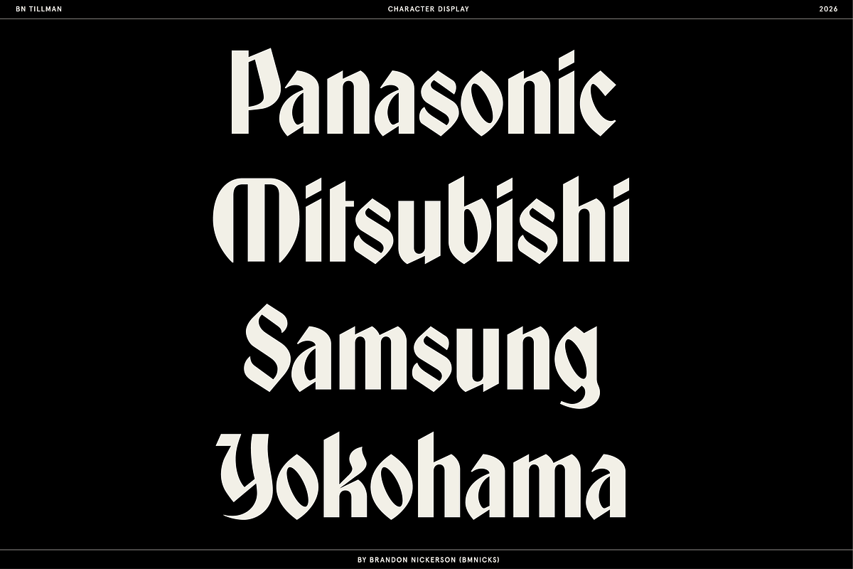 BN Tillman Gothic Display Typeface, a Serif Font by Bnick (Photo 6 of 12)