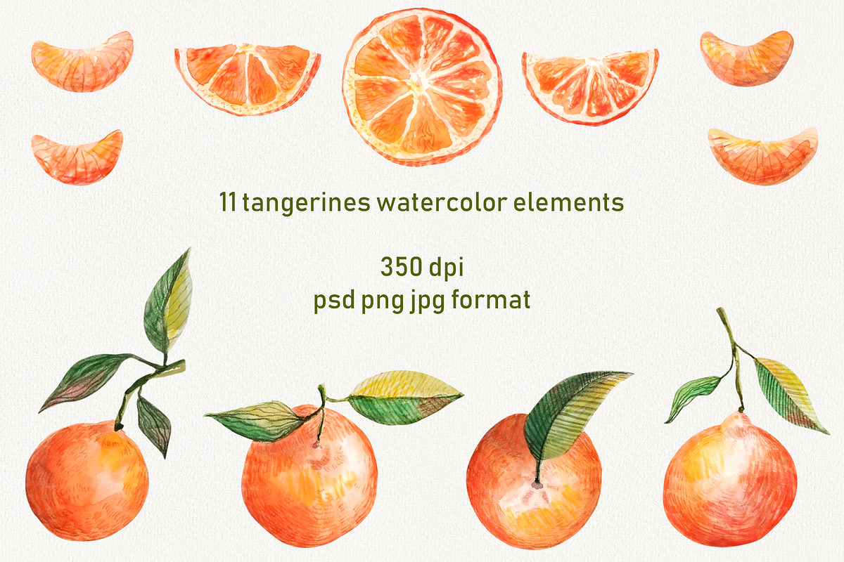 Watercolor Orange Fruit Clipart, a Food Illustration by Dina Guiter (Photo 2 of 10)