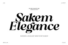 Sakem Elegance Serif Family (20 Font