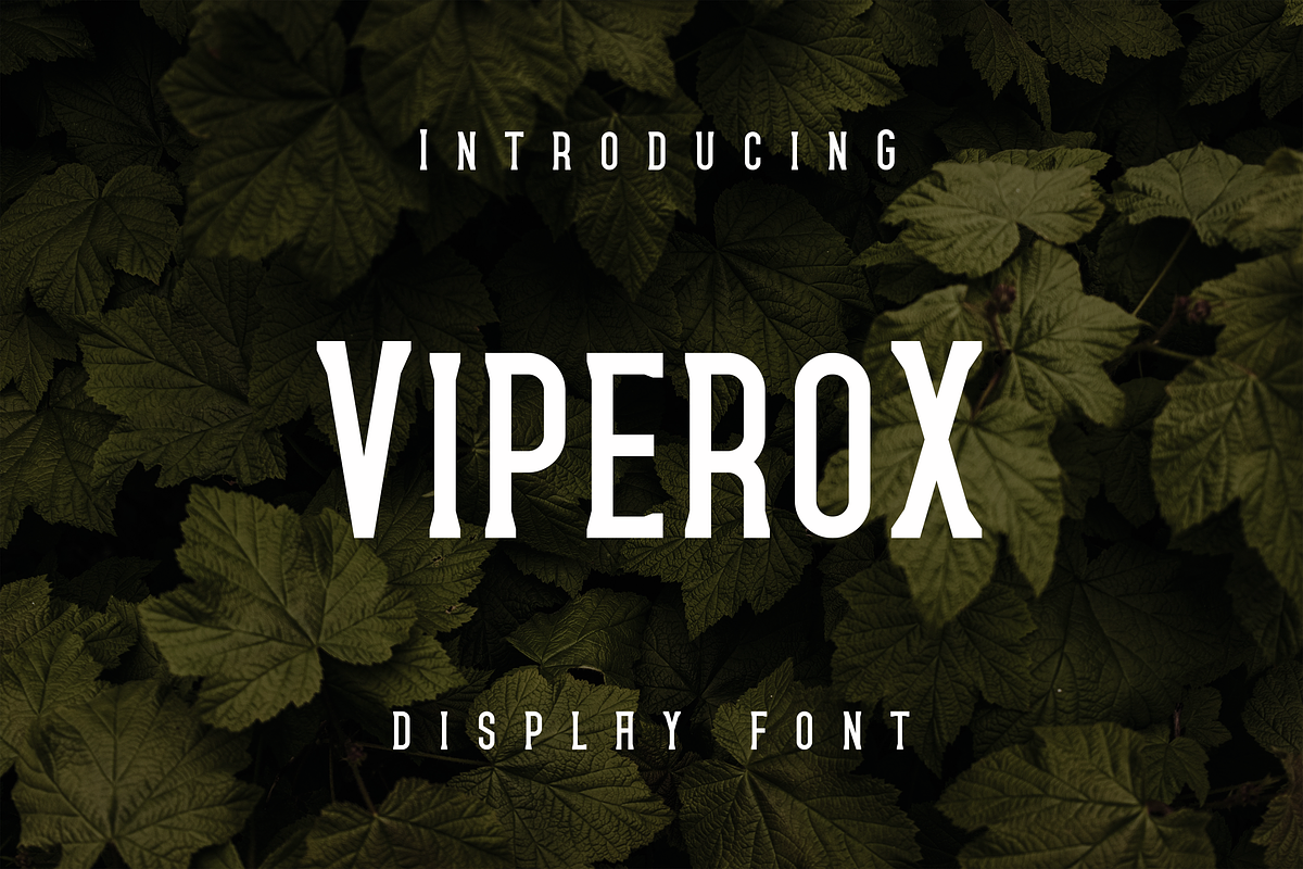 Viperox, a Sans Serif Font by lelevien (Photo 2 of 5)