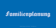 Sebaldus, a Blackletter Font by preussTYPE (Thumbnail 3 of 8)