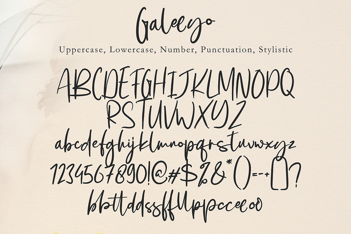 Galeeyo, a Script Font by pineungtype (Photo 7 of 7)
