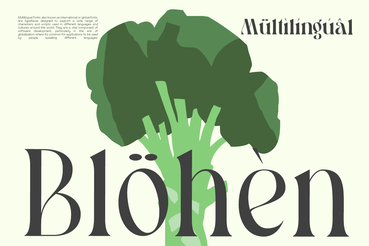 Pavon - 6 Tropic Family, a Serif Font by Dharmas Studio (Photo 16 of 16)