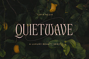 Quitewave Serif, a Serif Font by Typia Nesia (Thumbnail 1 of 10)