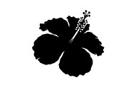 Floral Ornament Silhouette Bundle, an Illustration by BIPLOB EXPERT (Thumbnail 6 of 51)