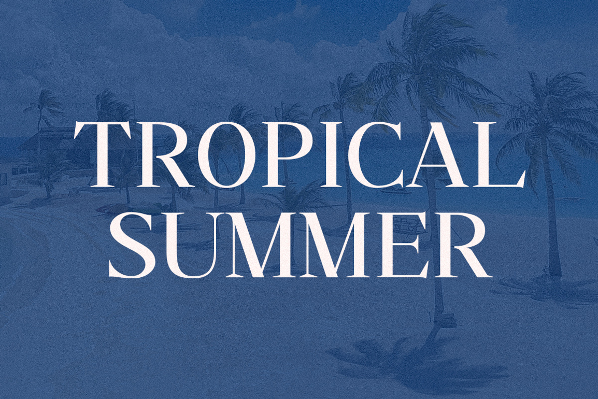 Savinder, a Serif Font by Dora Typefoundry (Photo 8 of 13)
