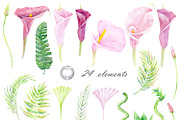 Watercolor clipart Pink Calla, an Illustration by AqwaColor (Thumbnail 2 of 3)