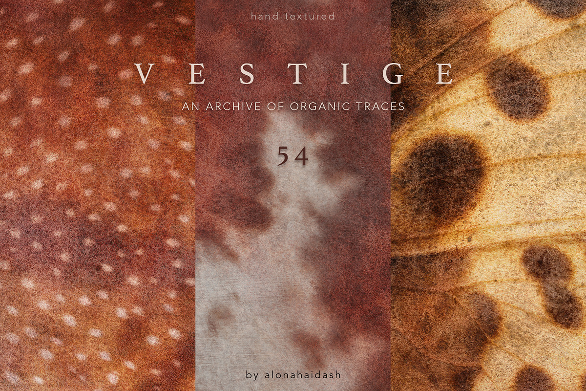 Vestige · Organic Backgrounds, a Background Graphic by alonahaidash (Photo 1 of 14)