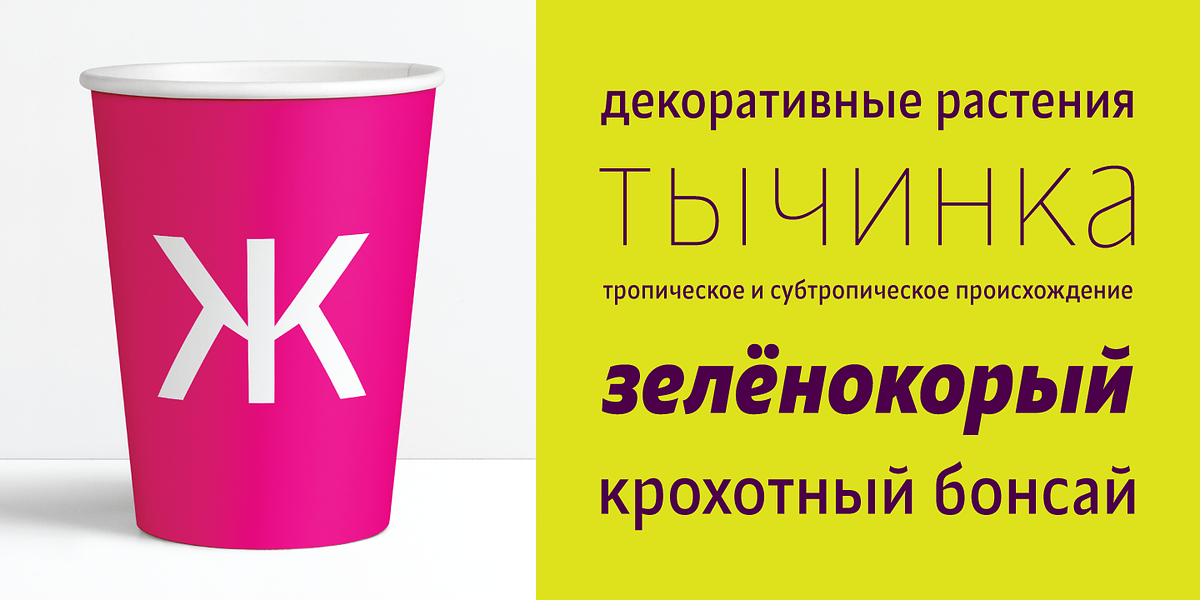 Alamia, a Sans Serif Font by Ani Dimitrova (Photo 2 of 12)