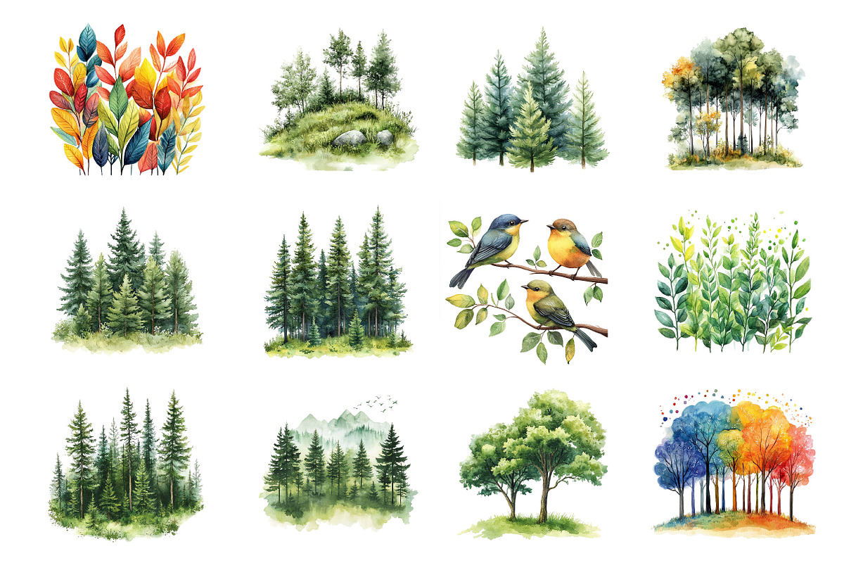 Watercolor Green Forest Clipart, an Illustration by Dream Creation (Photo 4 of 8)