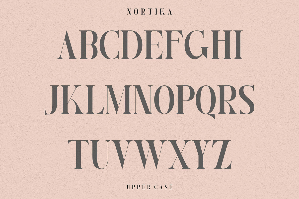 Nortika Serif Vintage Display, a Serif Font by LuhopCreative (Photo 7 of 13)