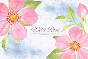 Wild Rose collection