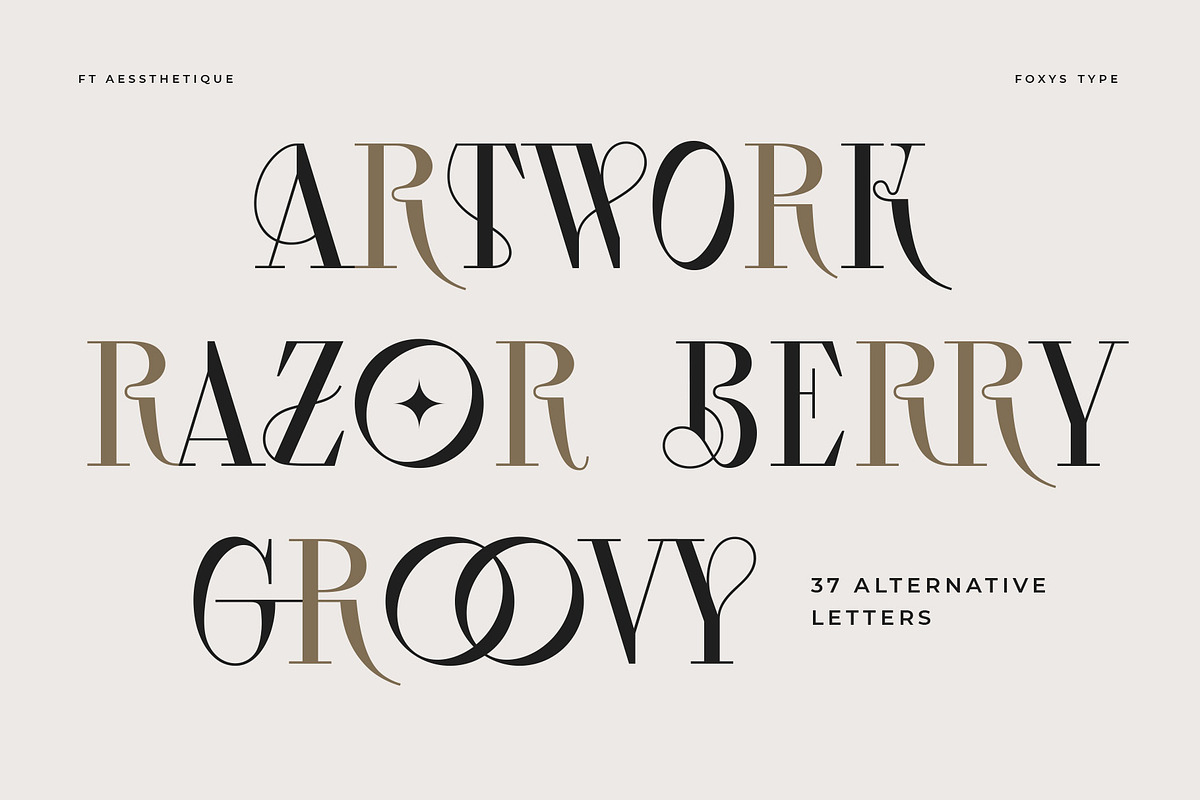 Aessthetique, a Serif Font by Foxys Type (Photo 9 of 11)