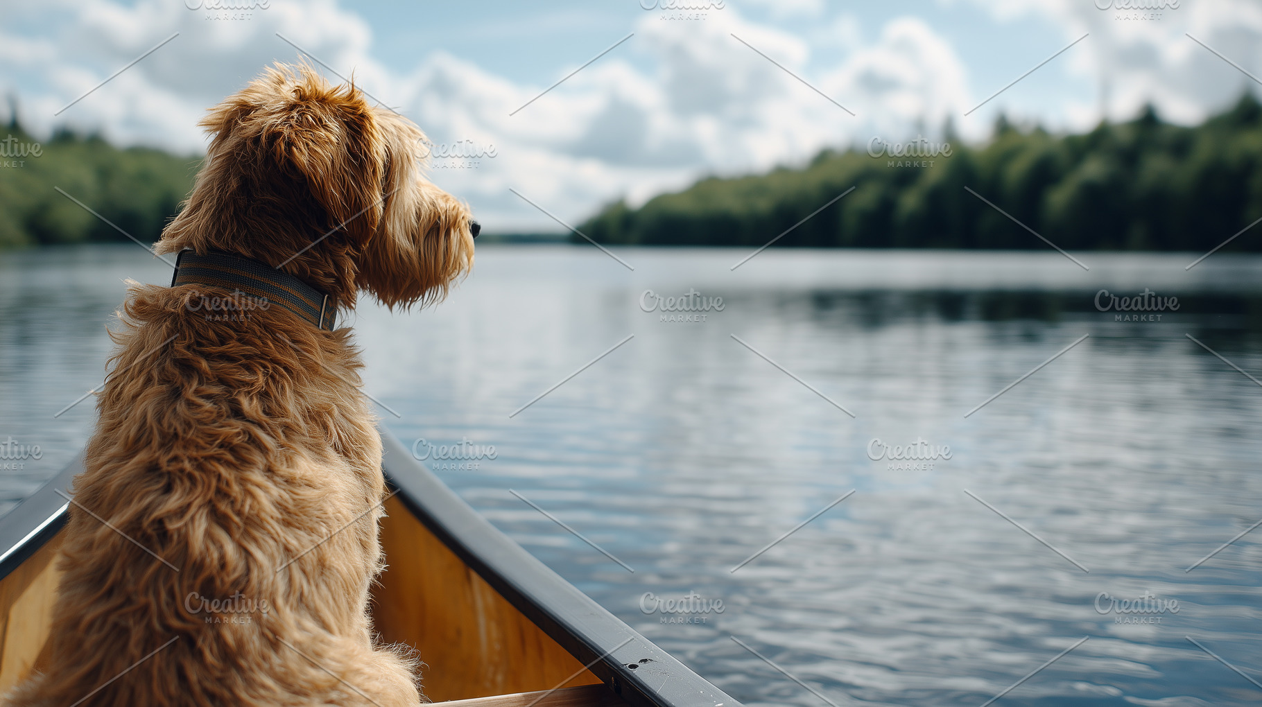 Dog sitting in a canoe on calm lake, an Animal Photo by MistyDay
