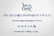 SALE! Lotus Eater - Vintage Font, a Font by VP Fonts (Thumbnail 9 of 12)